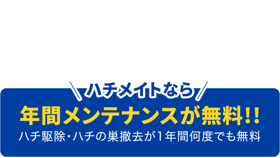 危険だからプロにお任せ！ハチメイトなら年間メンテナンスが無料！！ハチ駆除・ハチの巣撤去が1年間何度でも無料