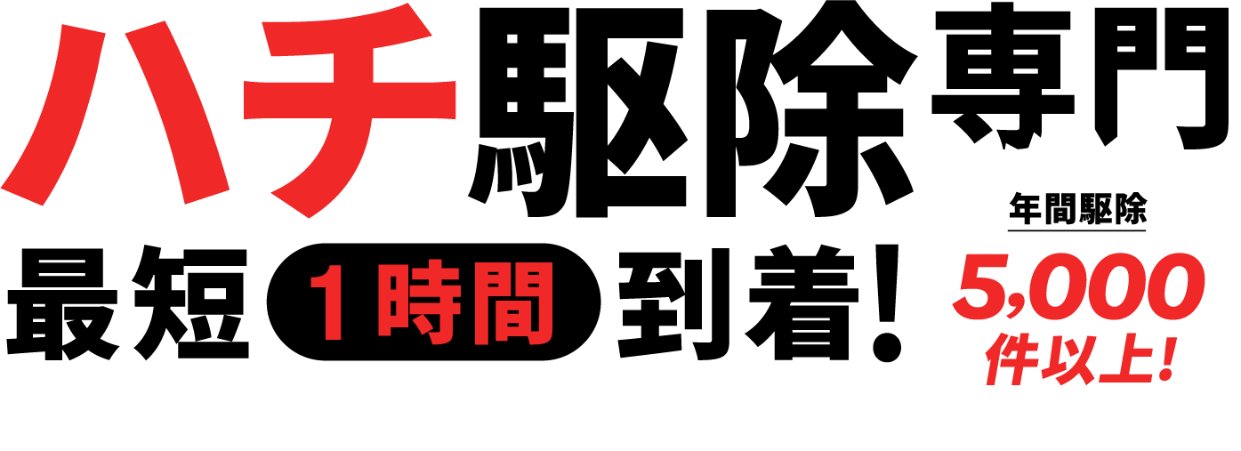 ハチ駆除専門！最短１時間到着！年間駆除5,000件以上！