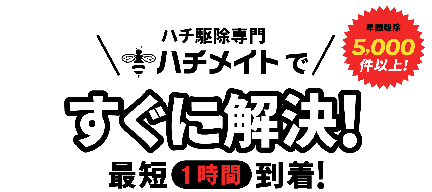 ハチ駆除専門ハチメイトですぐに解決！最短１時間到着！年間駆除5,000件以上！